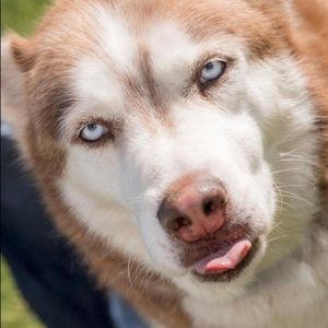 Meet your Posher, Meaghan